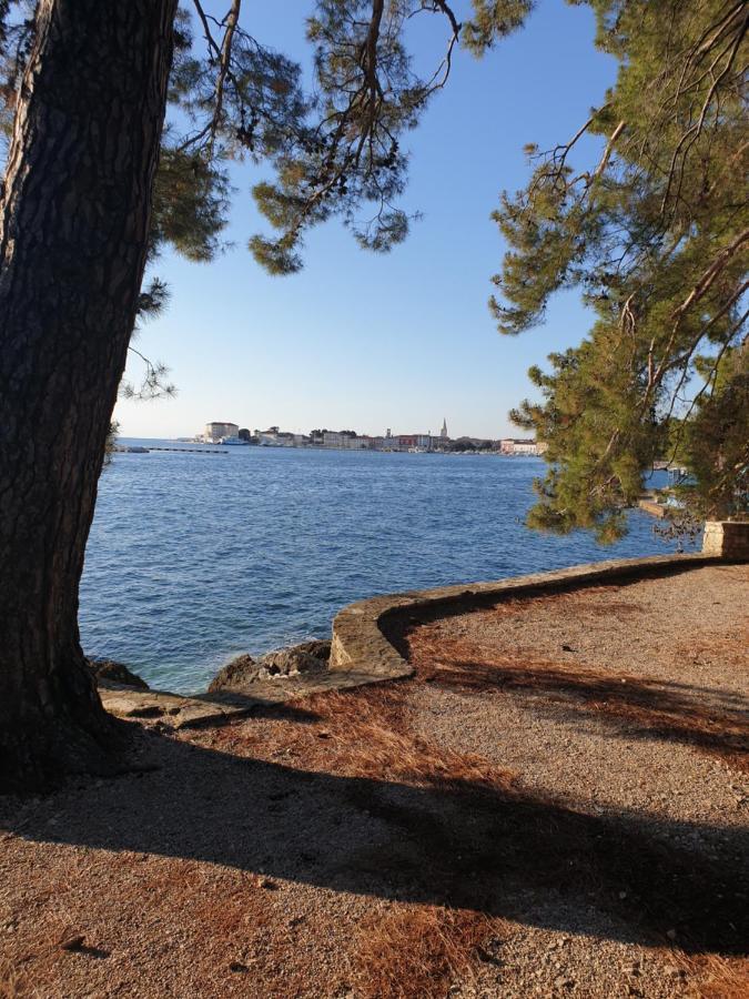 Stana Apartment Poreč Dış mekan fotoğraf